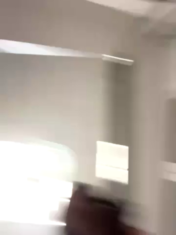 DoriDeluxe66