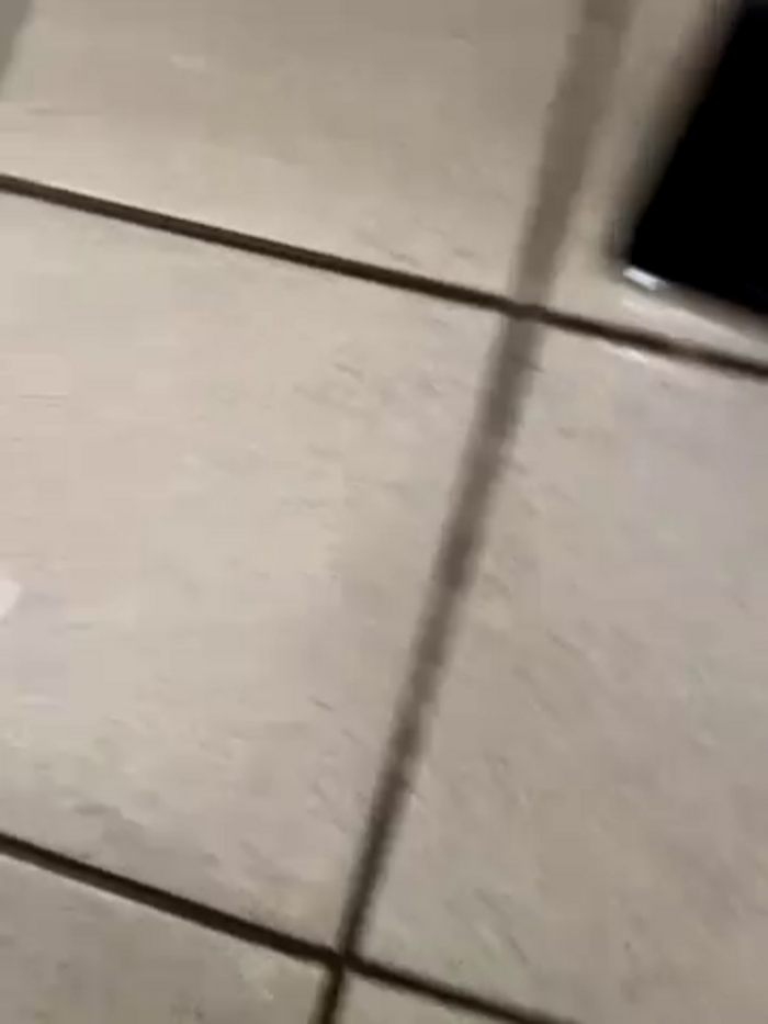 CrazzyChicks