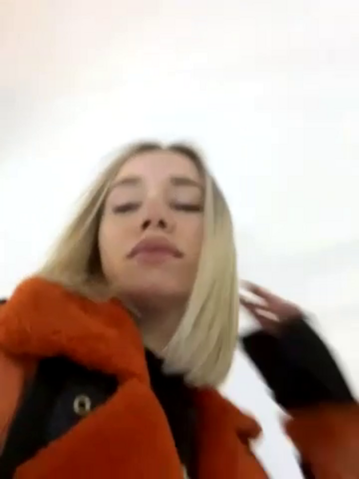 SSSATIVA_model