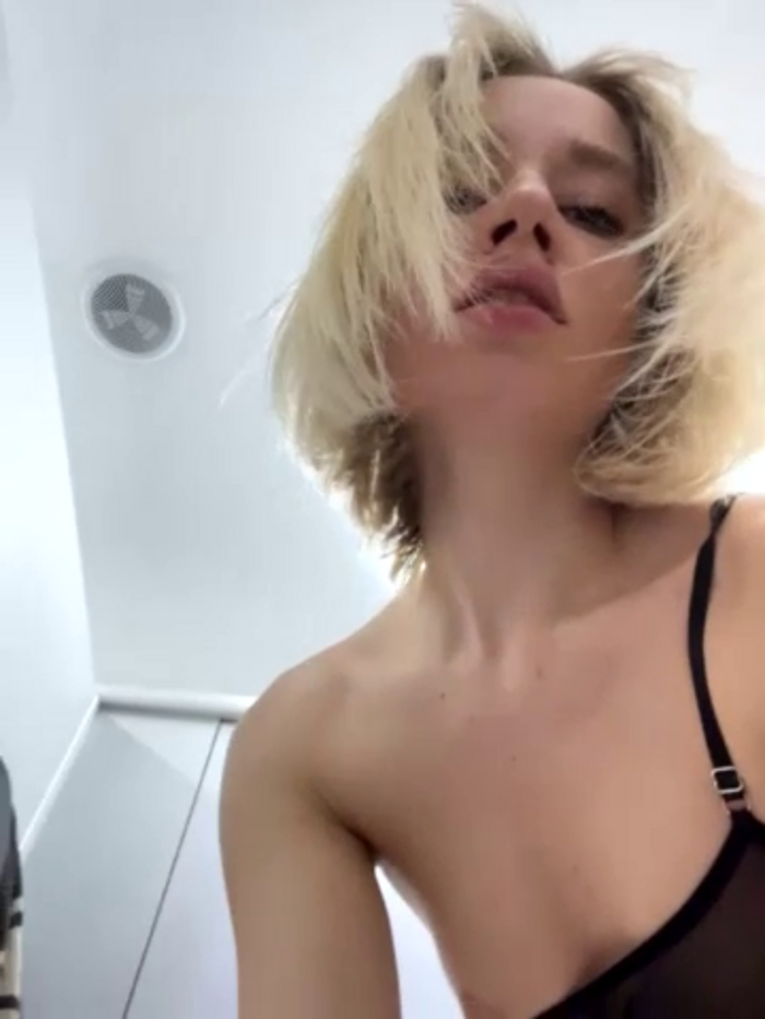 SSSATIVA_model