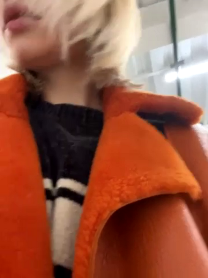 SSSATIVA_model