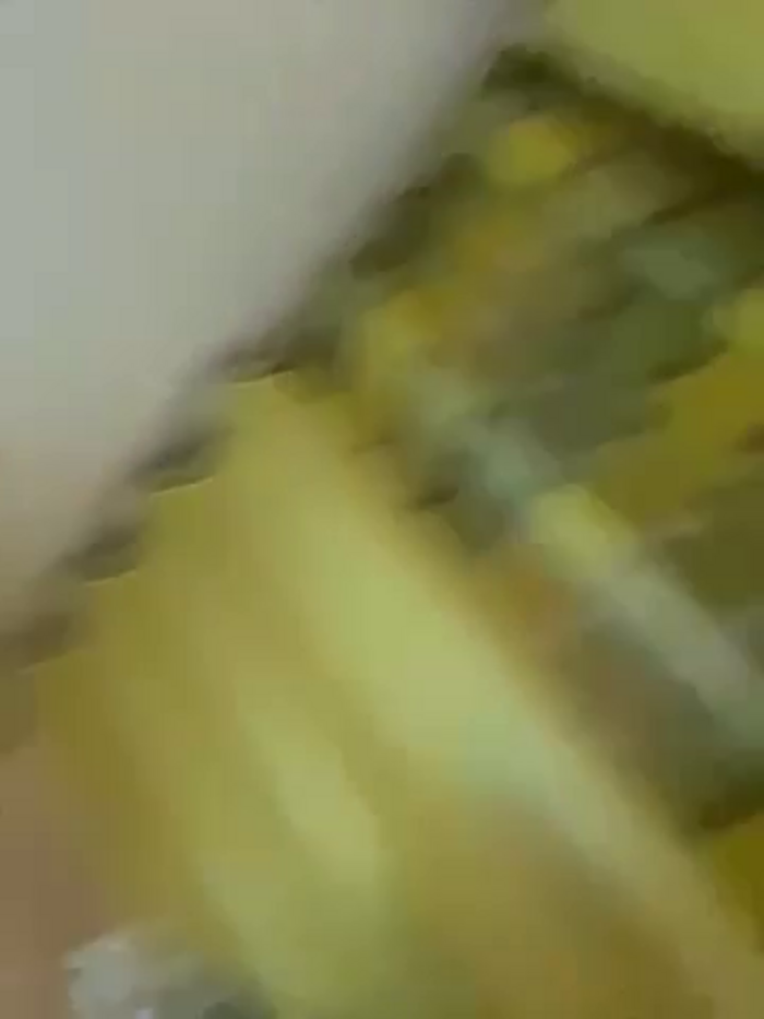 -AngelAri-