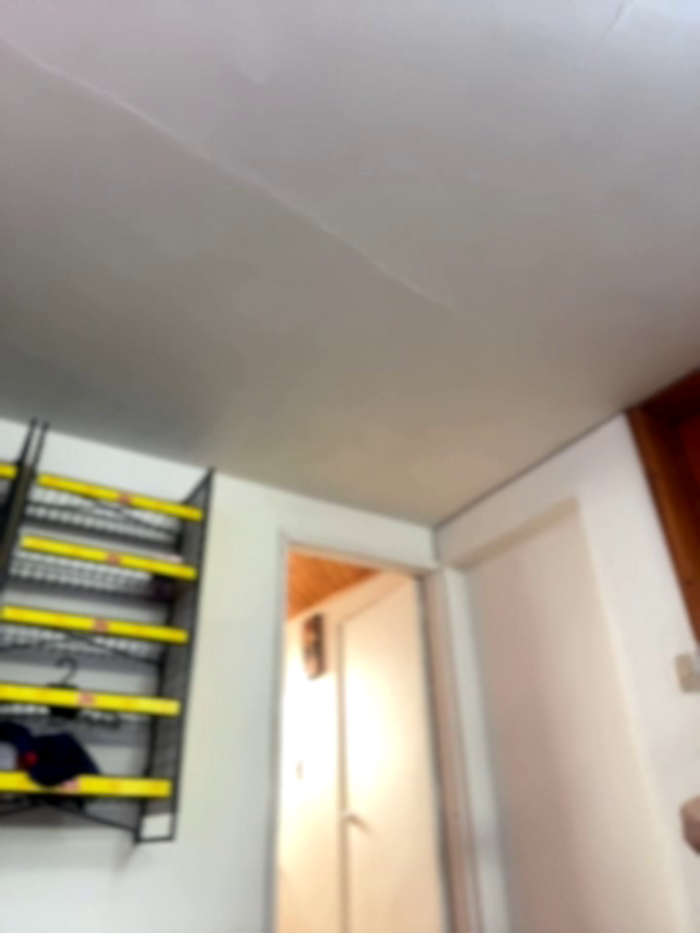 Lana_pink_