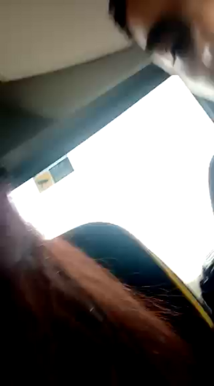 Fonixxx18_
