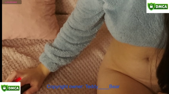 Teddy____Bear