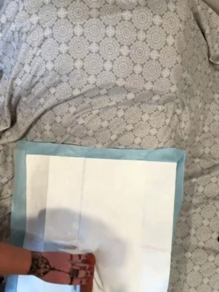 PussiesnCream_
