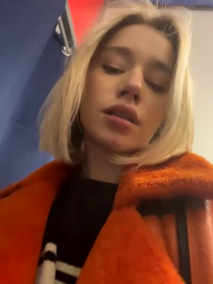 SSSATIVA_model