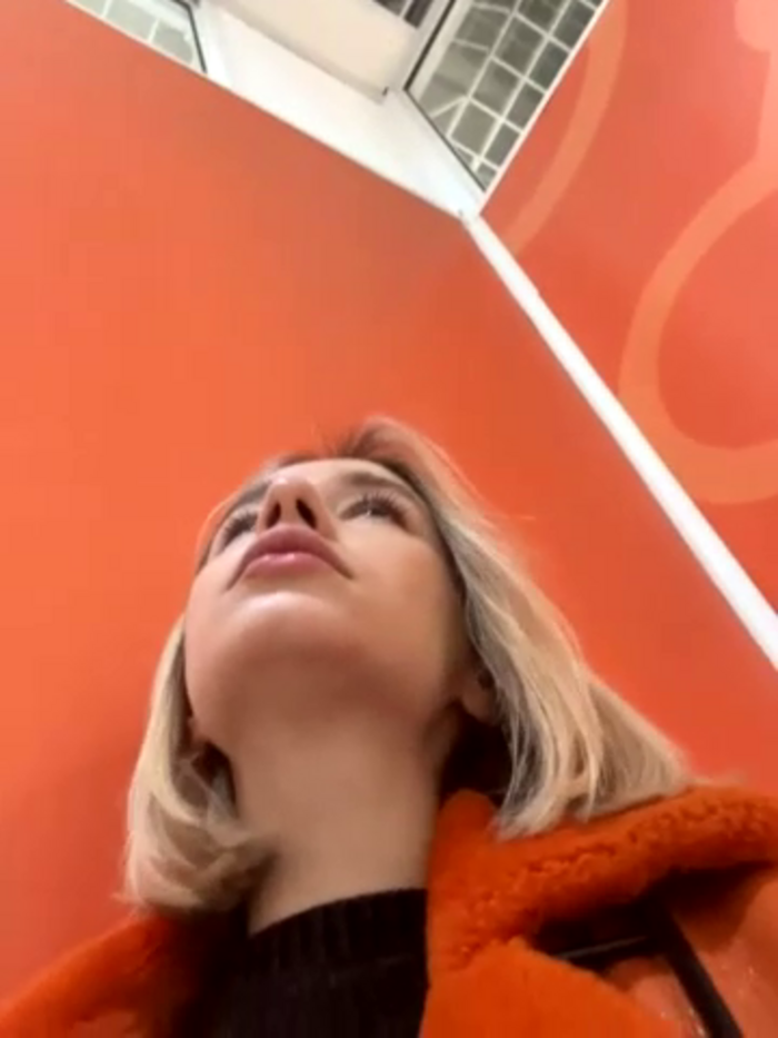 SSSATIVA_model