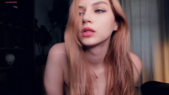 MelissaTetris