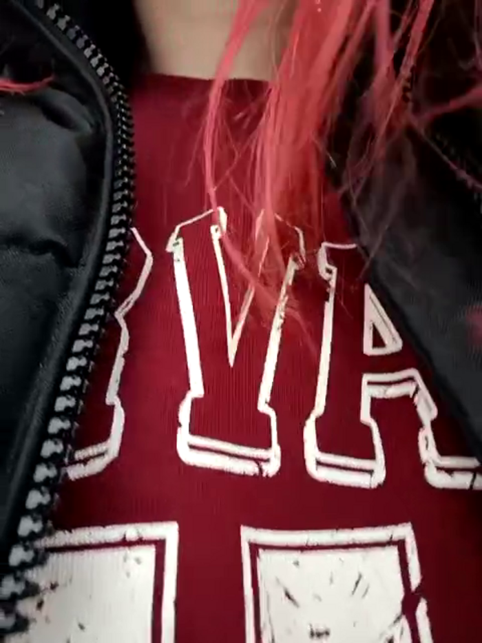 Frost_foxy