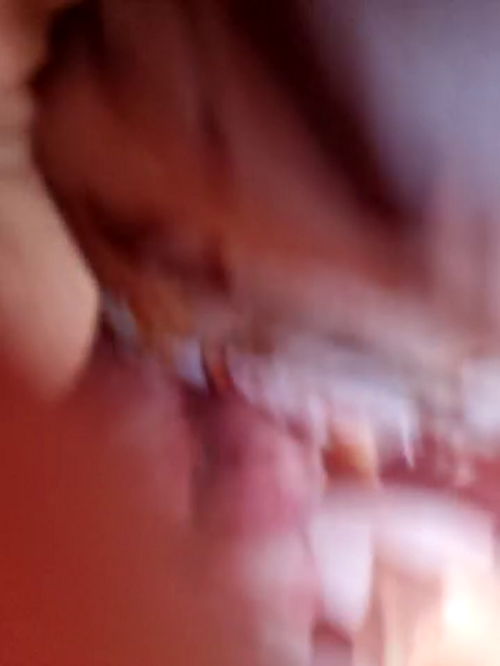 emma_tour