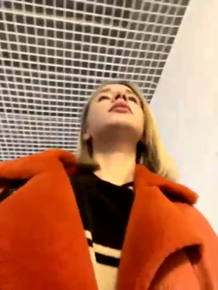 SSSATIVA_model