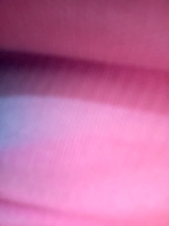 charlotte_stevenss_