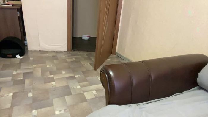 _krisvanessa_