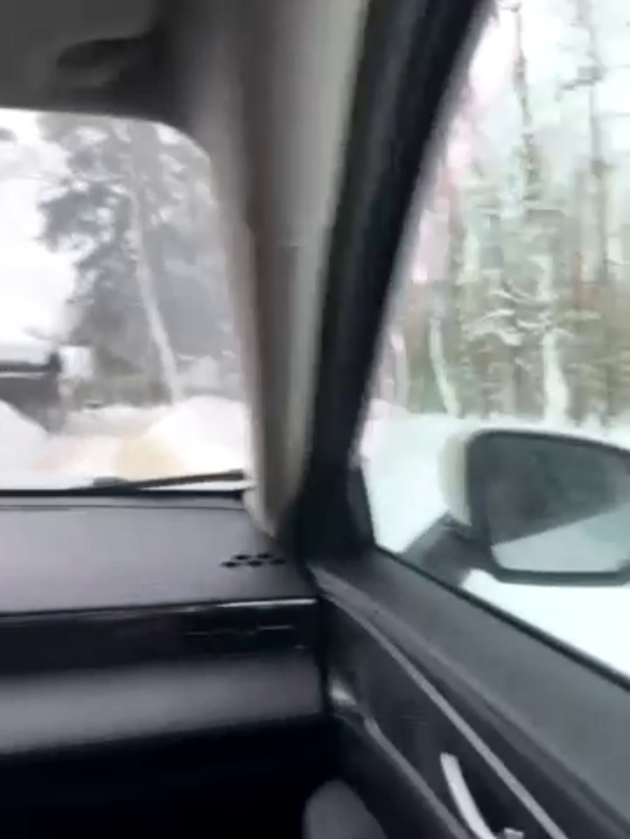 Syka0001