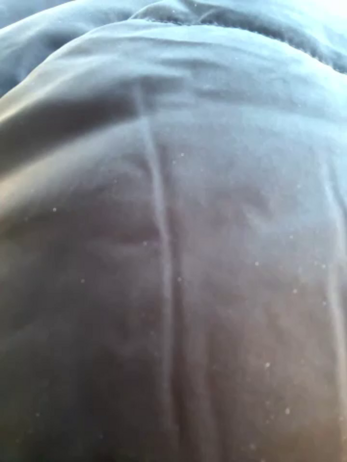 eveangelll