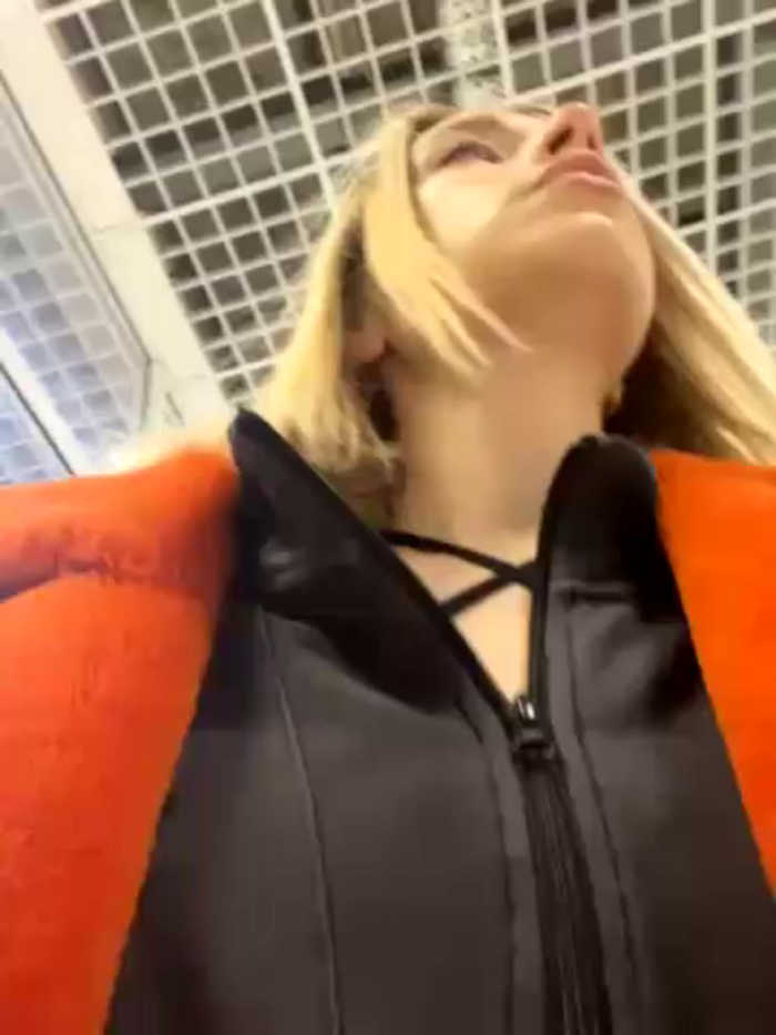SSSATIVA_model