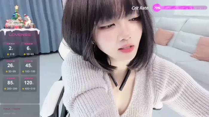 huang_v587