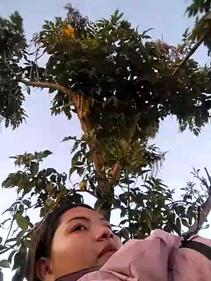 valeria__14