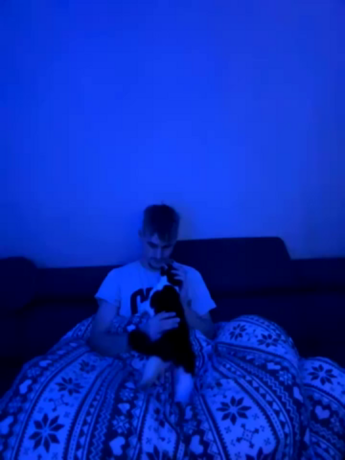 Cookieboy88