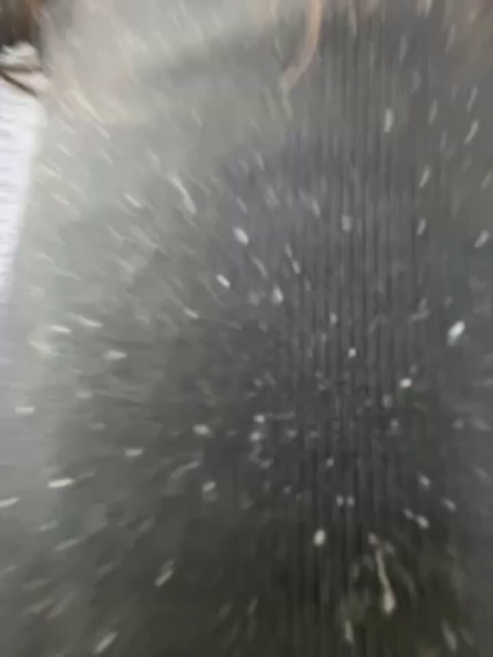 Nada_Napoli