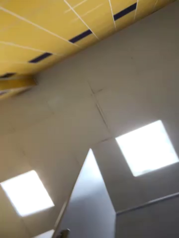 -AngelAri-