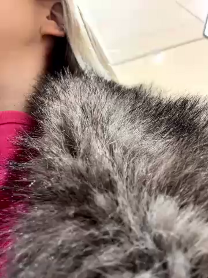 Kira_Miu