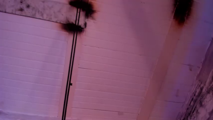 alexia_aitanaa_