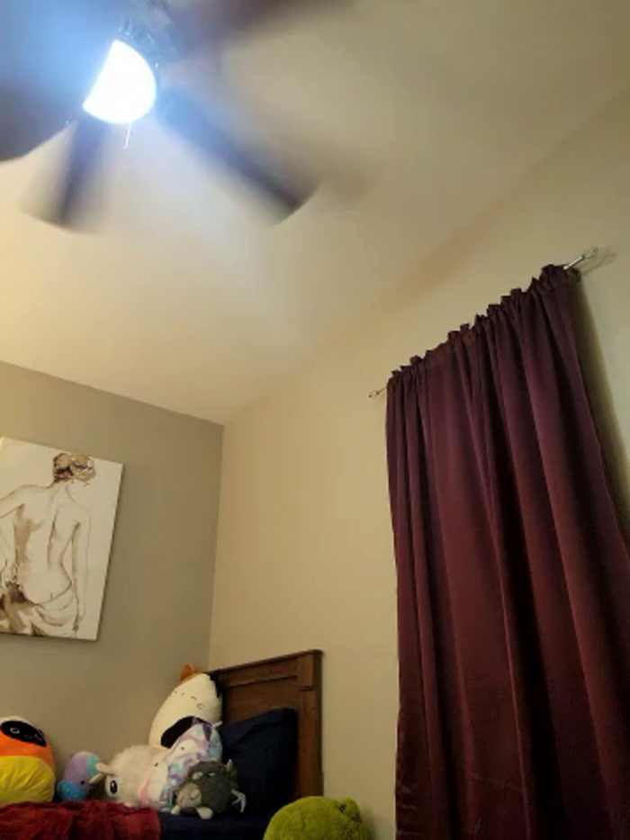 AmethystFoxx