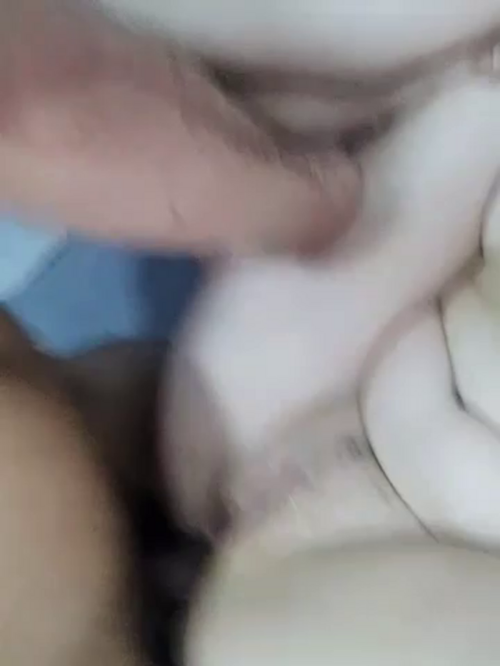 Fitkitten