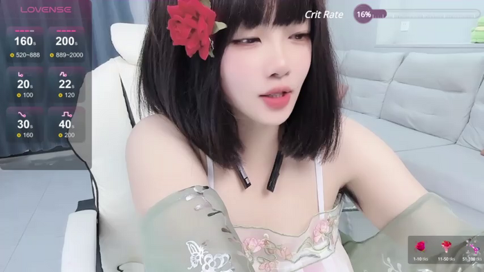 huang_v587