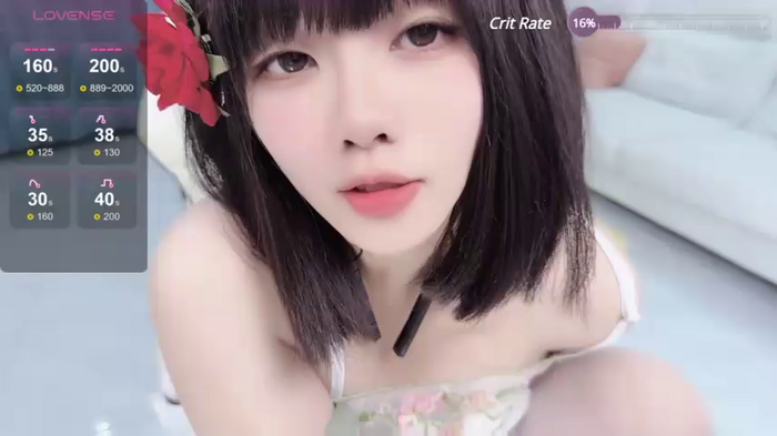 huang_v587
