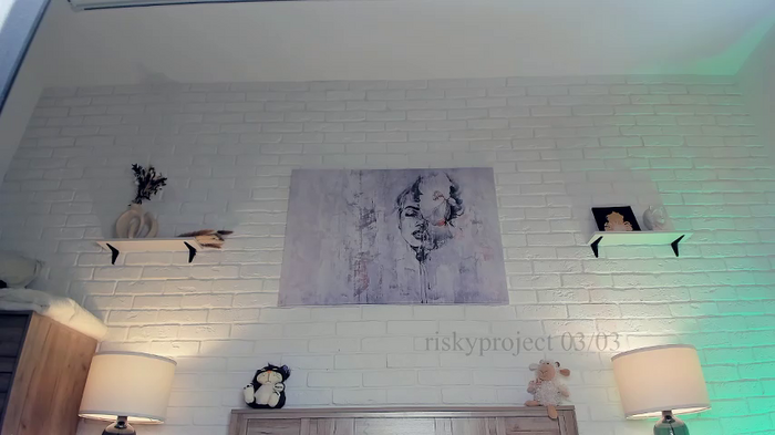 Riskyproject