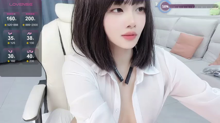 huang_v587