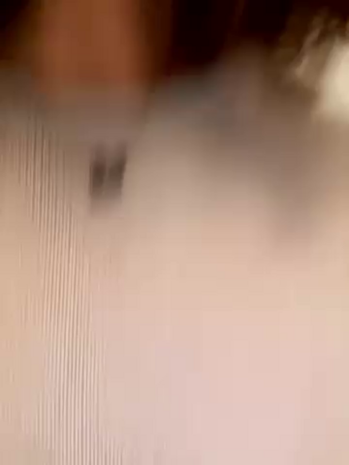 The_Snowwhitee