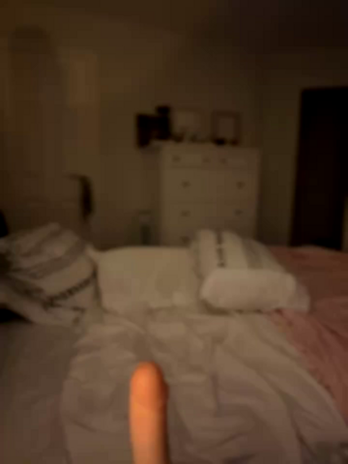 bellabee14