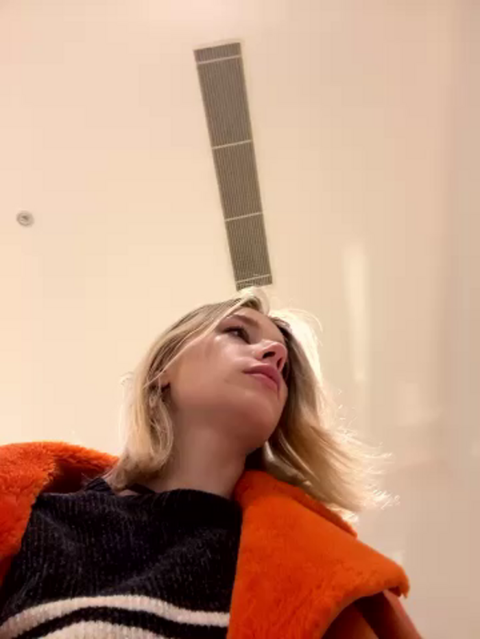 SSSATIVA_model