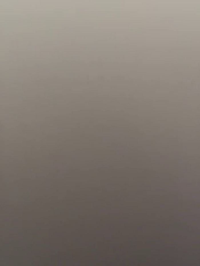 Enyeld_ruru