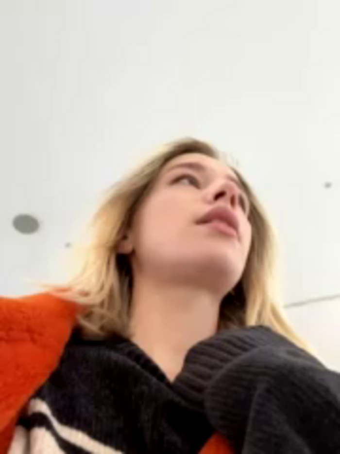 SSSATIVA_model