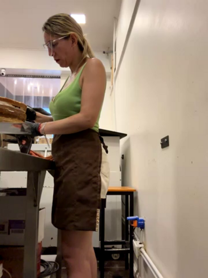 Gatitacarlita