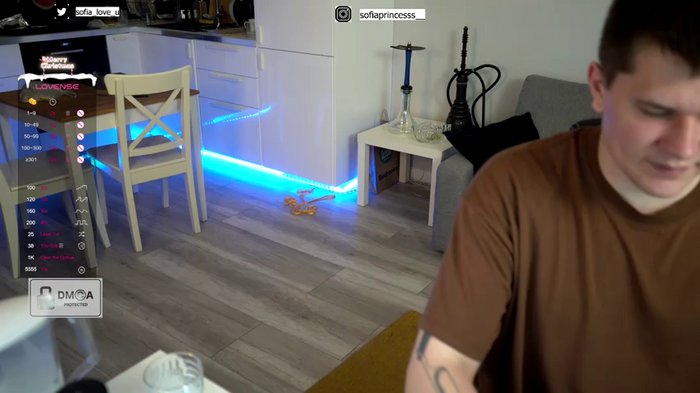 crazycats_
