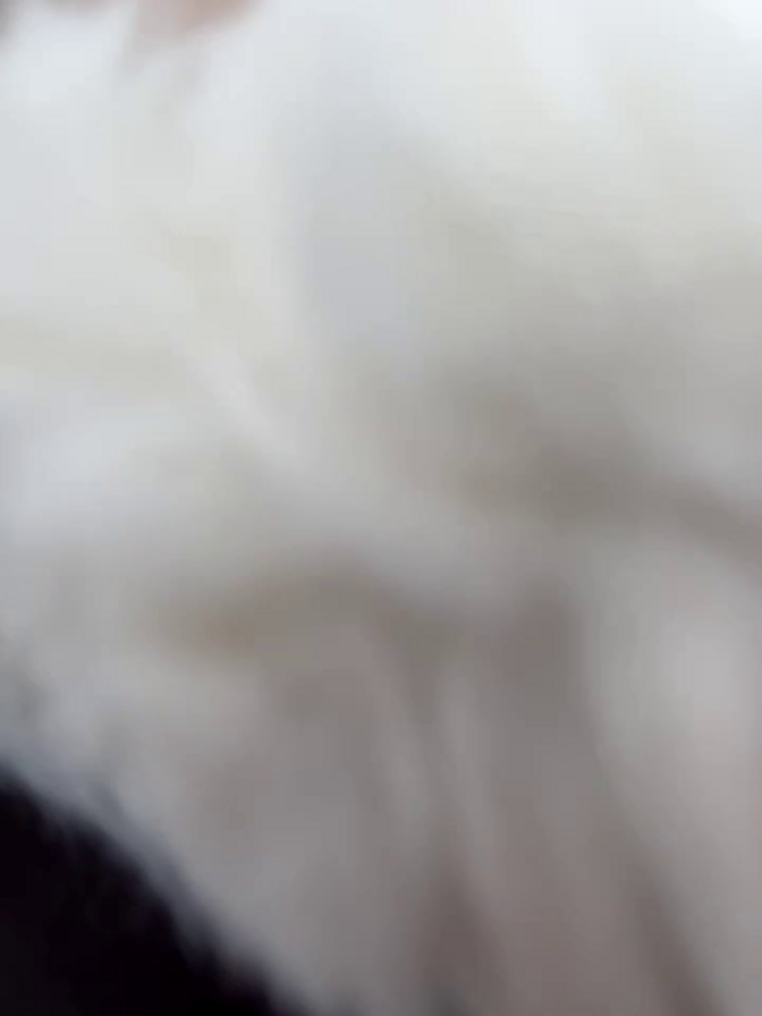 AmmyHot