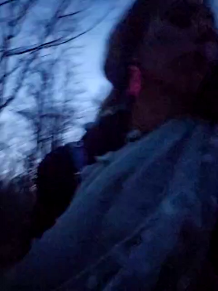 KittyWhispers