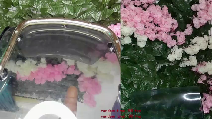 Crystal_Paris