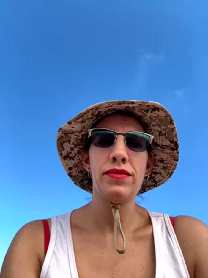 Gatitacarlita