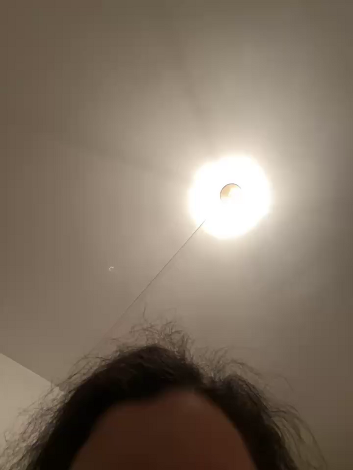 inesXV