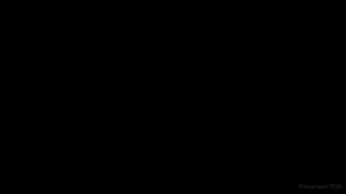 Riskyproject