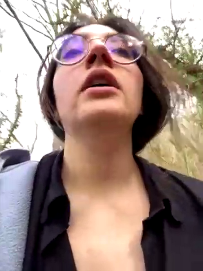 WildVanilleX