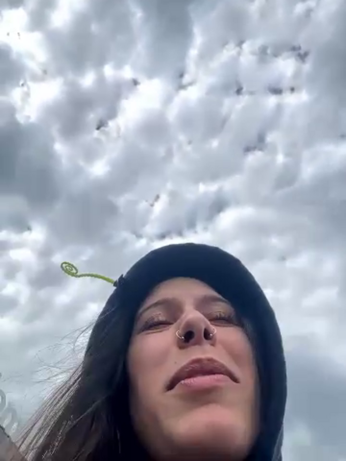 lil_martian