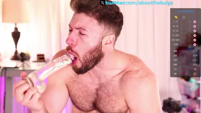 about_the_bulge